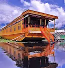 Kashmir